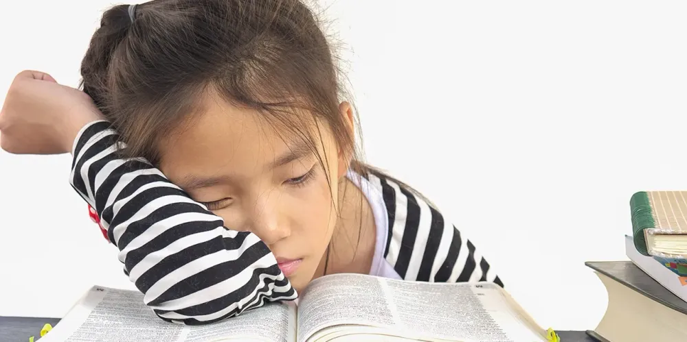 My Child Didn’t Actually Hate English